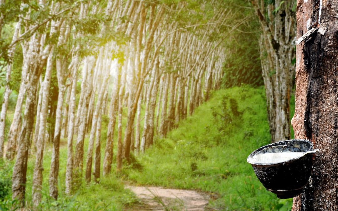 Effective pilot plant for rubber recycling